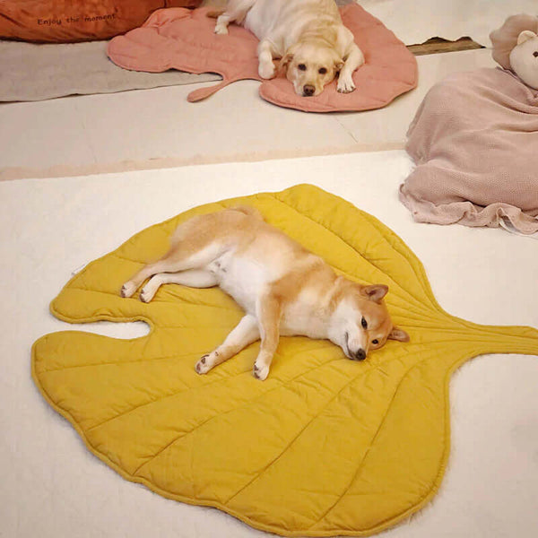 Leaf Shape Dog Blanket, Elm Green